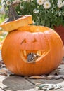A happy chipmunk leans out of his pumpkin house