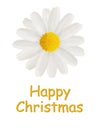 Happy Christmas card with a daisy