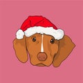 Happy Christmas with Dog with Santa Claus Hat. cute art Royalty Free Stock Photo