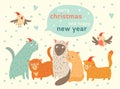 Happy Christmas and Happy New Year card with cute cats and birds in Santa hat Royalty Free Stock Photo