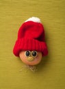 Happy Christmas onion in santa hat