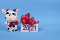 Happy Christmas white bull or cow toy and 2021 text on gift box. Blue background.