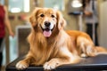 Happy clean well-groomed combed dog on the table in the grooming salon. Charming golden retriever. Generative AI.