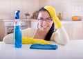 Happy cleaning lady Royalty Free Stock Photo