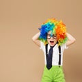 Happy clown boy with large colorful wig. Royalty Free Stock Photo