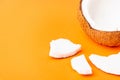 Fresh coconut group set different half and slices Royalty Free Stock Photo