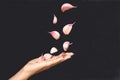 Garlic flying on woman hand stock photo