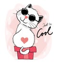 Happy cool cute white fluffy fat cat with heart mark wears Sun Glasses stand on a gift box, just be cool word, cute character Royalty Free Stock Photo