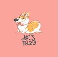 Happy Corgi Dog Character Run Vector Illustration. Funny Small Puppy Animal Play Open Mouth Show Tongue Typography Print Royalty Free Stock Photo