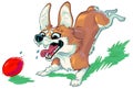 Happy Corgi Dog Chasing Red Ball Vector Cartoon
