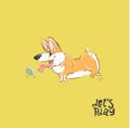 Happy Corgi Dog Play Ball Vector Illustration. Silly Puppy Character Animal Run Typography Print Poster. Fluffy Orange