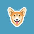 Happy Corgi