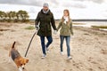 Happy couple with beagle dog on autumn beach Royalty Free Stock Photo