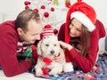 Happy couple with dog, all in Christmas clothes sitting near Christmas tree Royalty Free Stock Photo