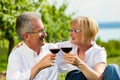 Happy couple drinking wine at lake in summer