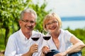 Happy couple drinking wine at lake in summer