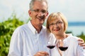 Happy couple drinking wine at lake in summer