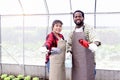 Happy couple farmer family work together in vegetable garden at countryside, Asian woman gardener and African man hold shovel, Royalty Free Stock Photo