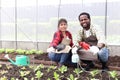 Happy couple farmer family work together in vegetable garden at countryside, Asian woman gardener and African man hold shovel, Royalty Free Stock Photo