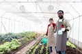Happy couple farmer family work together in vegetable garden at countryside, Asian woman gardener and African man hold watering Royalty Free Stock Photo
