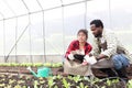 Happy couple farmer family work together in vegetable garden at countryside, smiling Asian woman gardener counting income money Royalty Free Stock Photo