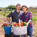 Happy couple of farmers posing with basket of ripe vegetables