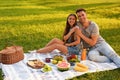 Happy couple having picnic in park Royalty Free Stock Photo