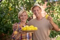 Happy couple holding plate with lemons in the garden