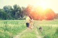 Couple and a dog walking along the rural road back to the camera Royalty Free Stock Photo