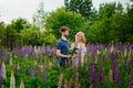 A happy couple in love embraces in a Lupin field. Blooming purple flowers of lupine