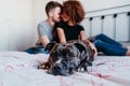 happy couple in love at home. Afro american woman, caucasian man and their pit bull dog together. Family concept Royalty Free Stock Photo