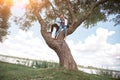 happy couple in love hugs standing on a big tree . Royalty Free Stock Photo