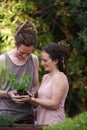 Happy couple, man and woman with plants in backyard, harvest and sustainability of herbs for growth. People, working and Royalty Free Stock Photo