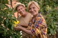 Happy couple picking lemons in the garden