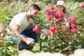 Happy couple planting flowers at the garden Royalty Free Stock Photo