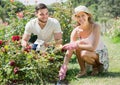 Happy couple planting plants