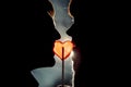 Happy couple silhouette in love with heart shape lollipop