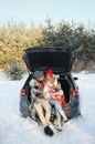 Happy couple sitting in open car back, having stop off. Romantic traveling concept. Winter forest Royalty Free Stock Photo