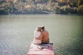 Happy couple sitting on a wooden bridge near lake Royalty Free Stock Photo