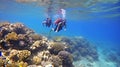 happy couple snorkeling in a wonderful coral reef. AI Generated Royalty Free Stock Photo