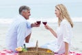 Happy couple toasting with red wine during a picnic Royalty Free Stock Photo