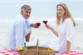 Happy couple toasting with red wine during a picnic Royalty Free Stock Photo