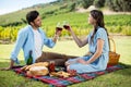 Happy couple toasting wineglasses Royalty Free Stock Photo