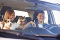 Happy couple with two dogs traveling by car Royalty Free Stock Photo