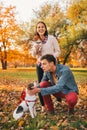 Happy couple walking in autumn park and playing with dogs Royalty Free Stock Photo