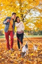 Happy couple walking outdoors in park with dogs Royalty Free Stock Photo