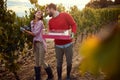 Happy couple walking through vineyard. Family grape harvesting