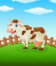 Happy cow cartoon on the field Royalty Free Stock Photo