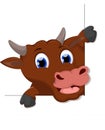 Happy Cow Smile cartoon white background for you design Royalty Free Stock Photo