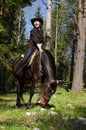 Happy cowgirl on brown horse Royalty Free Stock Photo